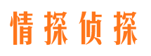 东丰侦探